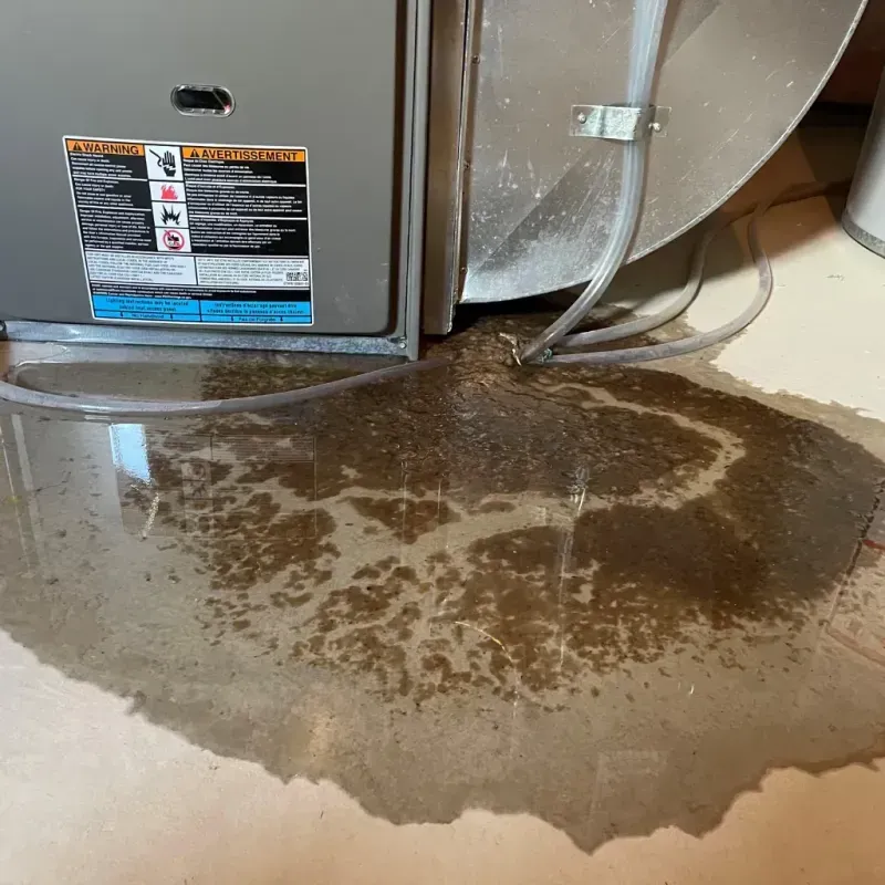 Appliance Leak Cleanup in Wrightsville Beach, NC